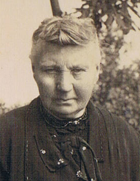 hilje vos.